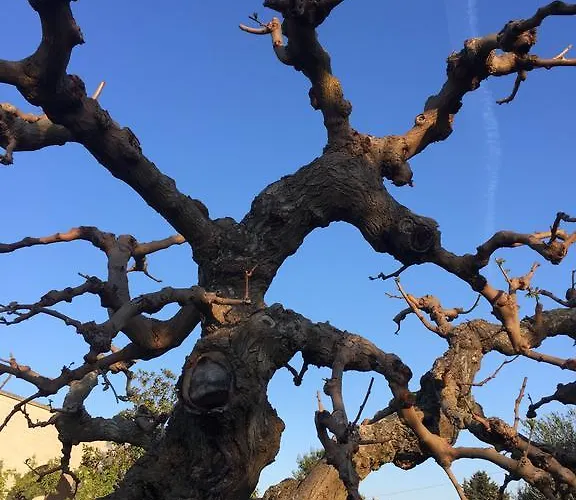 Trulli Di Pozzomasiello Locorotondo